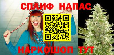 каннабис Славгород