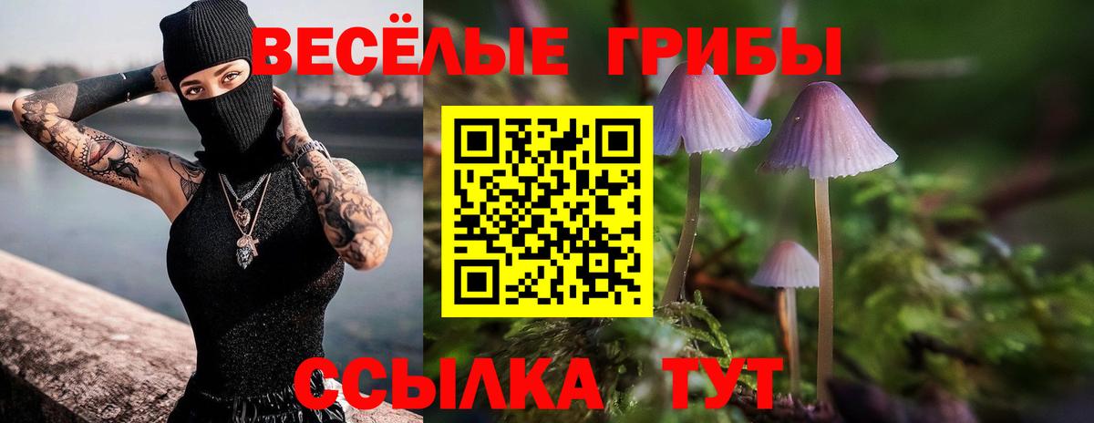 Псилоцибиновые грибы MAGIC MUSHROOMS Малоярославец