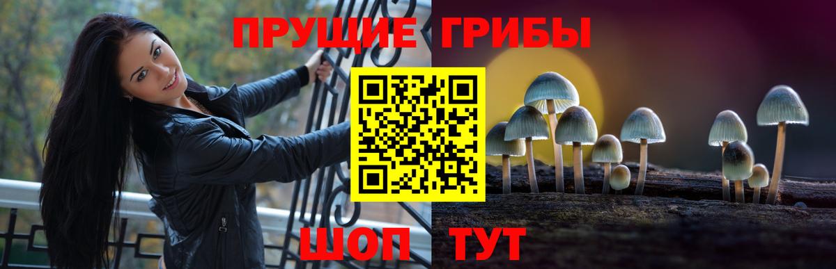 Псилоцибиновые грибы Psilocybe  Вход с VPN  Малоярославец 